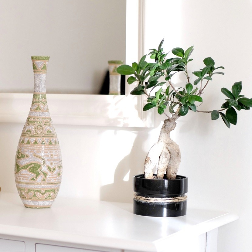 Decorated Vase
