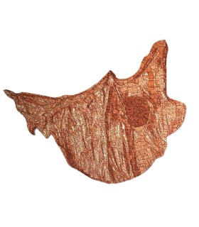 Burri 00 Arr&doMosaico Elena Bonazzoli